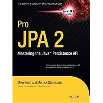 Pro JPA 2, Pro Series - 1